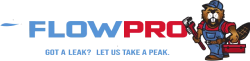 FlowPro Logo